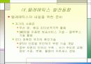 [기술조사]텔레메틱스[Telematics] 서비스 17페이지
