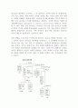 13개 시험관의 비밀 2페이지