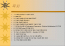 DMB & DAB 기술 2페이지