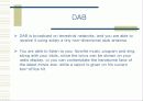 DMB(Digital Multimedia Broadcasting) 4페이지
