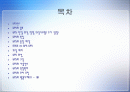 GPS(Global Positioning System) 2페이지