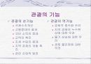 일본의 관광산업 3페이지