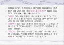 일본의 관광산업 6페이지