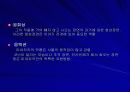 [일본문화]미야자키 하야오 13페이지