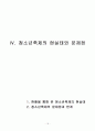 청소년 축제에 대해 20페이지