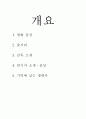 킹덤 오브 해븐 감상문 1페이지
