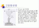 다이아몬드의 이해 12페이지
