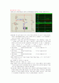 트랜지스터 전압증폭회로 13페이지