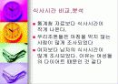 정보화시대의 시간관리 6페이지