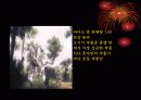 일본 애니메이션 감독 오시이 마모루의 작품세계 13페이지