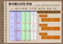 대체에너지의 개발과 이용 5페이지