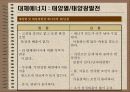대체에너지의 개발과 이용 11페이지