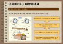 대체에너지의 개발과 이용 21페이지
