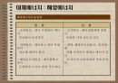 대체에너지의 개발과 이용 23페이지