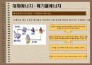 대체에너지의 개발과 이용 24페이지