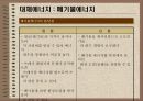 대체에너지의 개발과 이용 26페이지