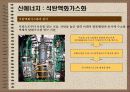 대체에너지의 개발과 이용 29페이지