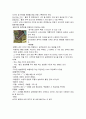 피임의 조건 5페이지