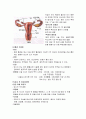 피임의 조건 9페이지