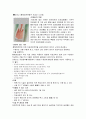 피임의 조건 11페이지