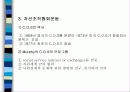 미국 지역사회조직사업의 역사 5페이지