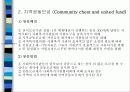 미국 지역사회조직사업의 역사 10페이지