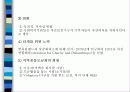 미국 지역사회조직사업의 역사 11페이지