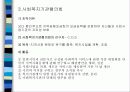 미국 지역사회조직사업의 역사 12페이지