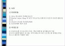 미국 지역사회조직사업의 역사 17페이지