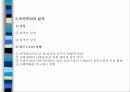 미국 지역사회조직사업의 역사 19페이지