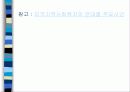 미국 지역사회조직사업의 역사 20페이지