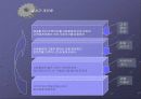 BI (Business Intelligence) 12페이지