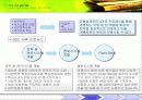 지식경영의 성공. 실패 사례분석 20페이지
