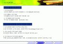 지식경영의 성공. 실패 사례분석 30페이지