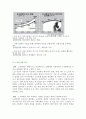 가정폭력의 실태분석과 대응방안 9페이지