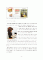 인터넷이 도시공간구조에 미치는 영향 40페이지