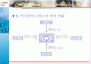 산업구조 분석을 통한 e–Marketplace 분석 20페이지
