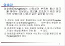 [기술동향분석] 정보보호를 위한 암호화 기초 6페이지