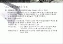 [기술조사]전자화폐 5페이지