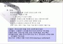 [기술조사]전자화폐 19페이지