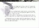 [기술조사]전자화폐 28페이지