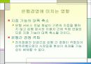[기술조사]전자화폐에 관하여 48페이지