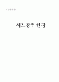 홍세화의 ‘세느강은 좌우를 나누고 한강은 남북을 가른다’를 읽고 1페이지
