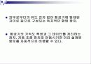 관성항법장치(INERTIA NAVIGATION SYSTEM)에 대한 이해와 분석 4페이지