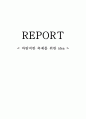 축제 아이디어 1페이지