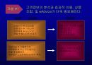 인터넷금융의 확산과 대응전략 13페이지