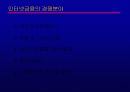인터넷금융의 확산과 대응전략 23페이지