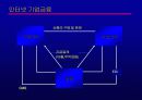 인터넷금융의 확산과 대응전략 31페이지