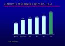 인터넷금융의 확산과 대응전략 44페이지