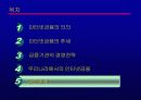 인터넷금융의 확산과 대응전략 46페이지
